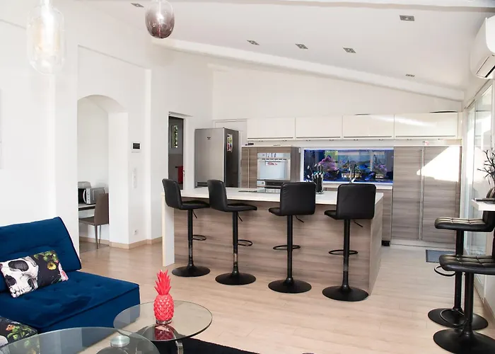 Maison Avec Piscine A Biot Antibes